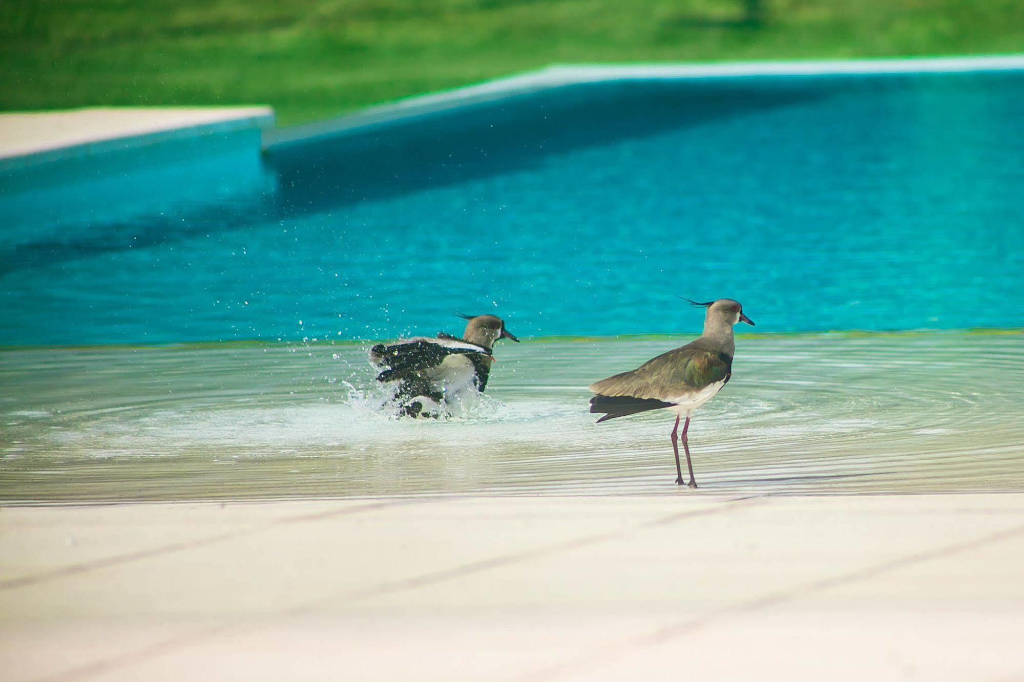 Amerian Villa Maria Park Hotel Εξωτερικό φωτογραφία